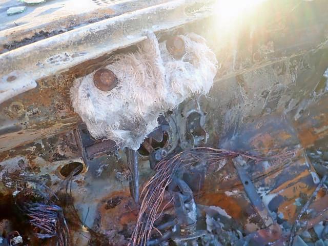 1FTYR10U6WUA88684 - 1998 FORD RANGER BURN photo 8