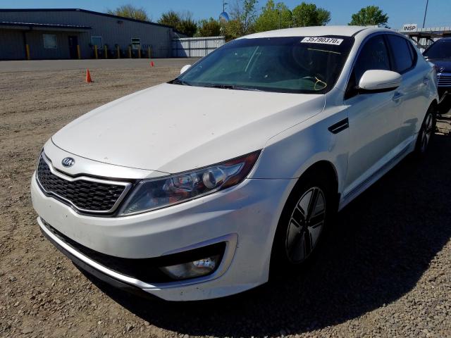 KNAGM4AD7D5061296 - 2013 KIA OPTIMA HYBRID  photo 2