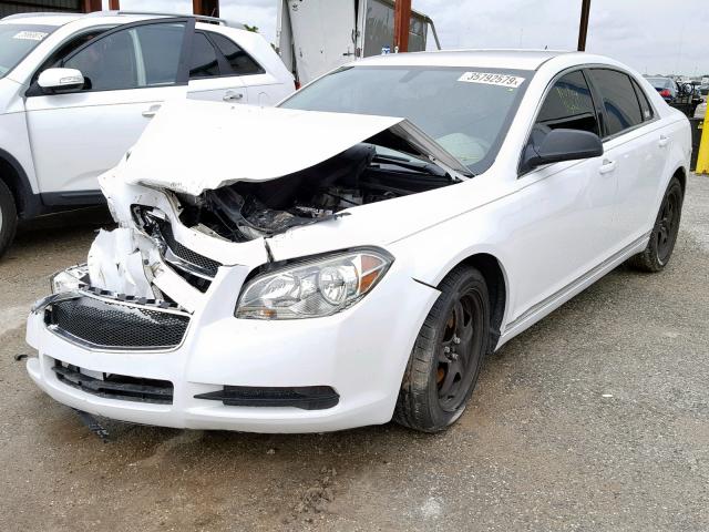 1G1ZB5E11BF189668 - 2011 CHEVROLET MALIBU LS WHITE photo 2