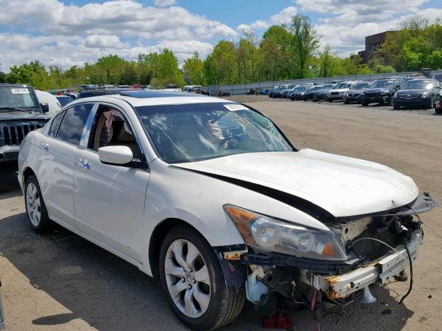 1HGCP36828A007305 - 2008 HONDA ACCORD EXL WHITE photo 1