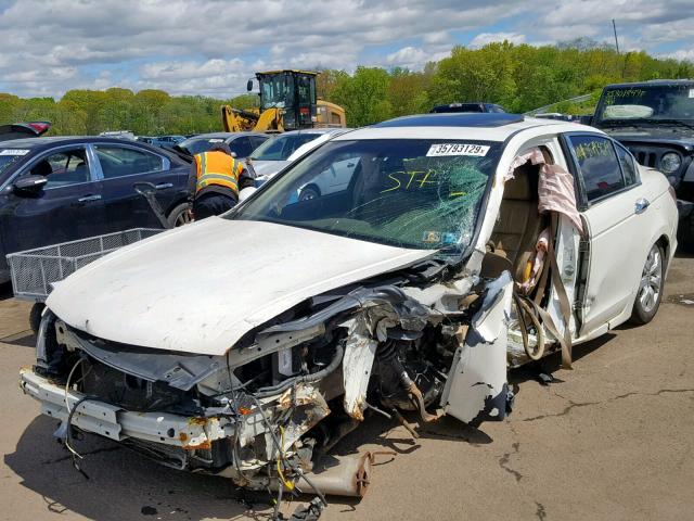 1HGCP36828A007305 - 2008 HONDA ACCORD EXL WHITE photo 2