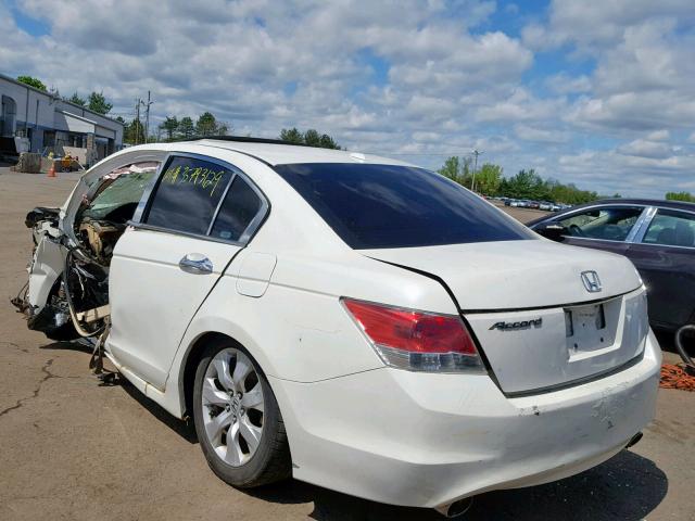 1HGCP36828A007305 - 2008 HONDA ACCORD EXL WHITE photo 3