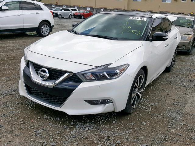 1N4AA6AP6HC440885 - 2017 NISSAN MAXIMA 3.5 WHITE photo 2