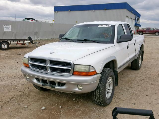 1D7HG48N03S146760 - 2003 DODGE DAKOTA QUA WHITE photo 2