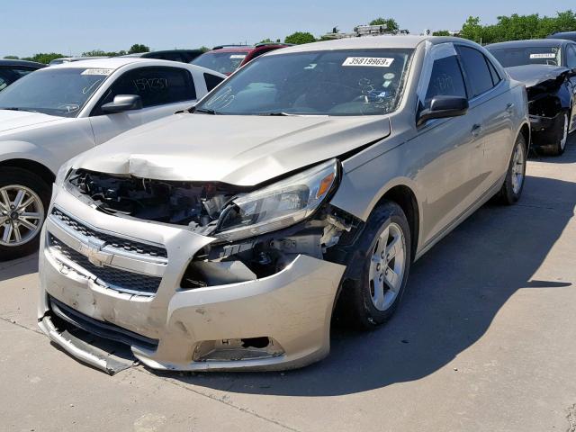 1G11A5SA0DF203731 - 2013 CHEVROLET MALIBU LS GOLD photo 2