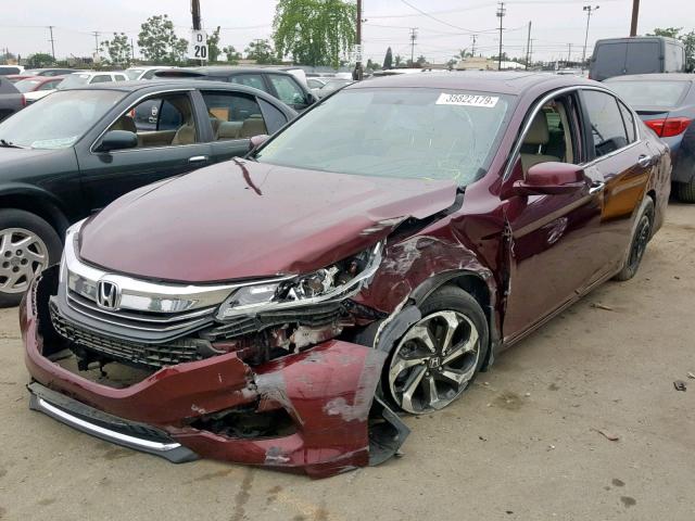 1HGCR2F85GA003462 - 2016 HONDA ACCORD EXL BURGUNDY photo 2