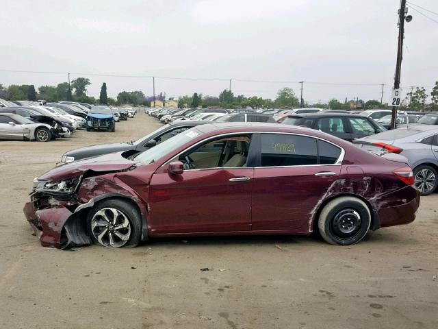 1HGCR2F85GA003462 - 2016 HONDA ACCORD EXL BURGUNDY photo 9