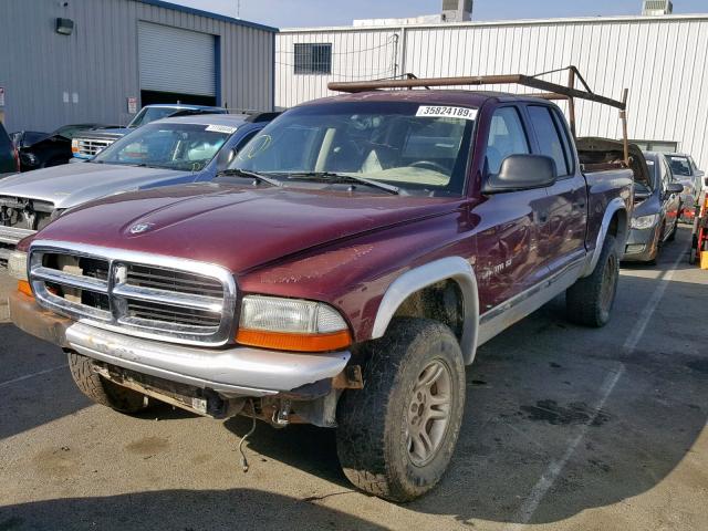 1B7HG48N12S661873 - 2002 DODGE DAKOTA QUA MAROON photo 2