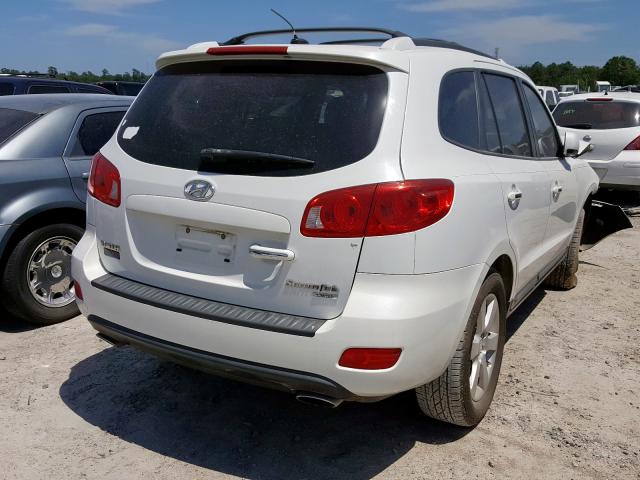 5NMSH13E59H312665 - 2009 HYUNDAI SANTA FE SE  photo 4