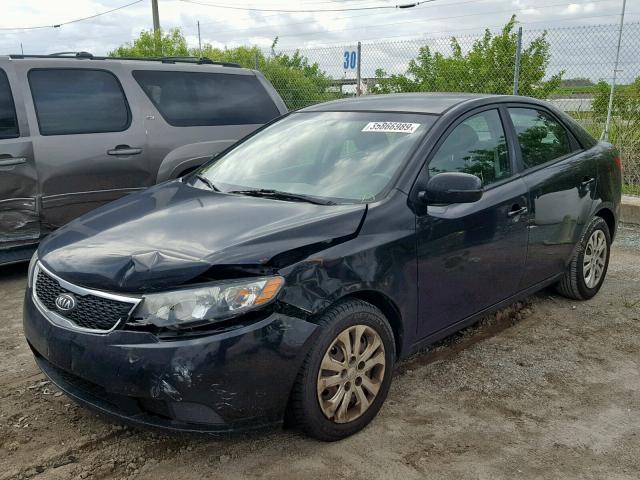 KNAFU4A24C5512130 - 2012 KIA FORTE EX BLACK photo 2