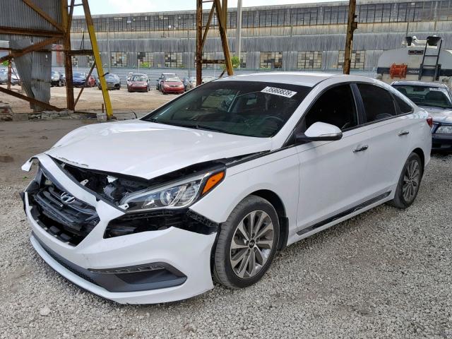 5NPE34AF7FH080481 - 2015 HYUNDAI SONATA SPO WHITE photo 2