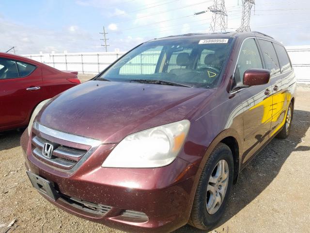 5FNRL38757B068713 - 2007 HONDA ODYSSEY EXL  photo 2