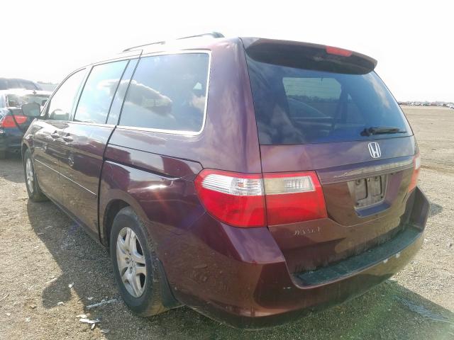 5FNRL38757B068713 - 2007 HONDA ODYSSEY EXL  photo 3