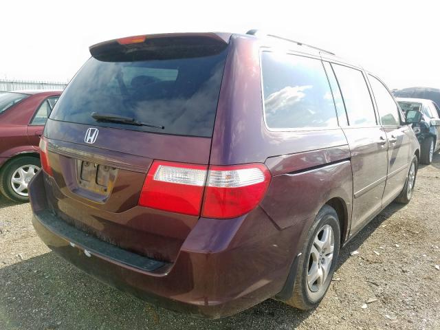 5FNRL38757B068713 - 2007 HONDA ODYSSEY EXL  photo 4