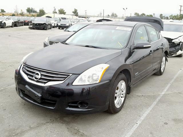 1N4CL2AP2BC101298 - 2011 NISSAN ALTIMA HYB BLACK photo 2