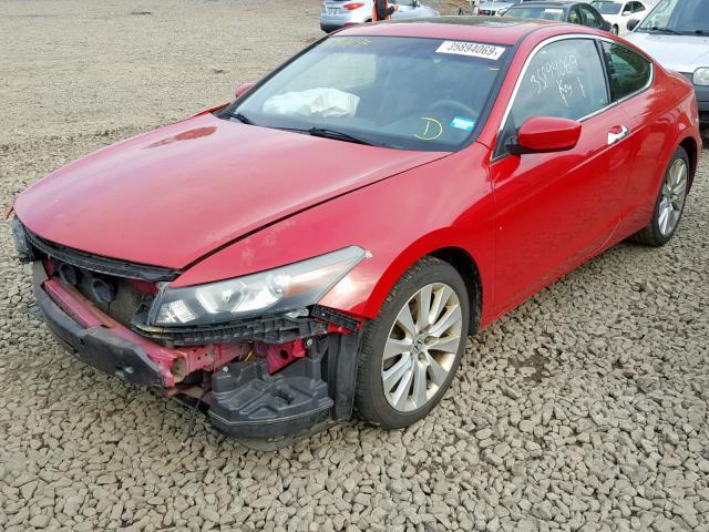 1HGCS2B82AA006885 - 2010 HONDA ACCORD EXL RED photo 2