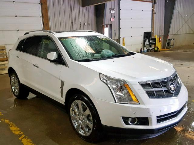 3GYFNEEY3AS603567 - 2010 CADILLAC SRX PERFOR თეთრი ფოტო 1