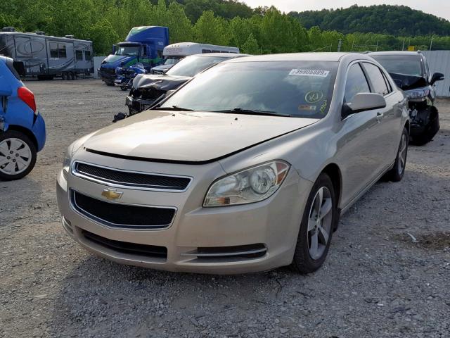 1G1ZC5E14BF261217 - 2011 CHEVROLET MALIBU 1LT TAN photo 2