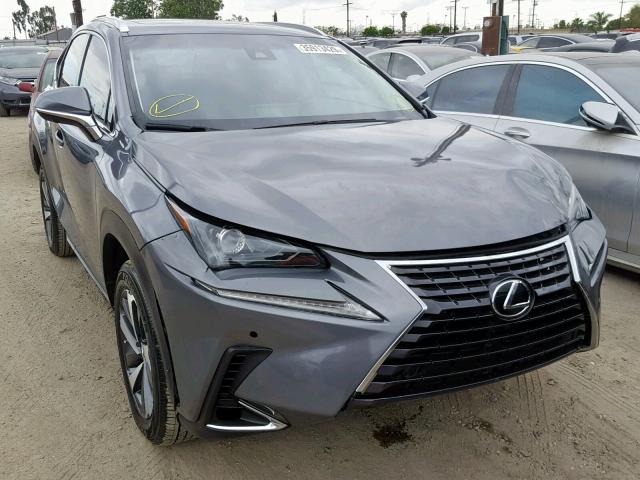 JTJYARBZ8K2132959 - 2019 LEXUS NX 300 GRAY photo 1