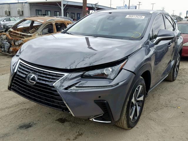 JTJYARBZ8K2132959 - 2019 LEXUS NX 300 GRAY photo 2