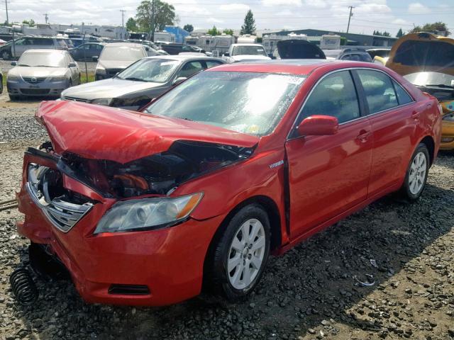 4T1BB46KX8U031369 - 2008 TOYOTA CAMRY HYBR RED photo 2