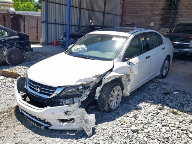 1HGCR2F84EA169078 - 2014 HONDA ACCORD EXL WHITE photo 2