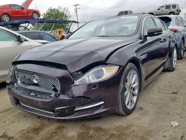 SAJWA1CB5BLV05688 - 2011 JAGUAR XJ BASE PURPLE photo 2