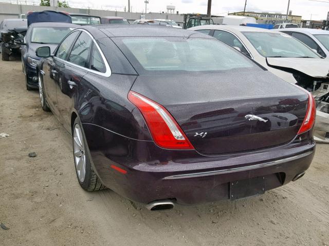 SAJWA1CB5BLV05688 - 2011 JAGUAR XJ BASE PURPLE photo 3