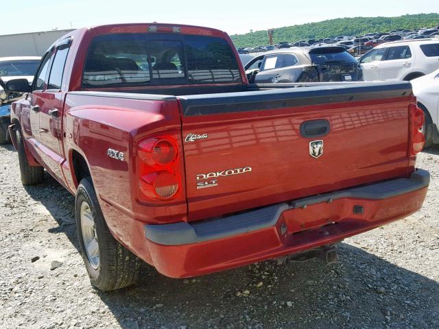 1D7HW48K98S594320 - 2008 DODGE DAKOTA QUA BURGUNDY photo 3