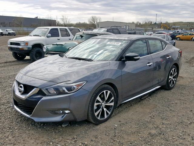 1N4AA6APXHC386314 - 2017 NISSAN MAXIMA 3.5 GRAY photo 2