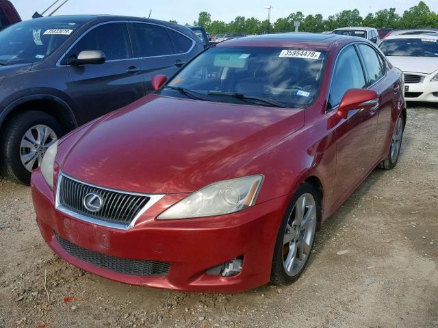 JTHBK262X95106493 - 2009 LEXUS IS 250 RED photo 2