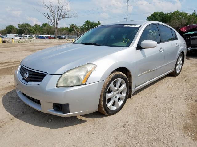 1N4BA41EX7C846769 - 2007 NISSAN MAXIMA SE  photo 2