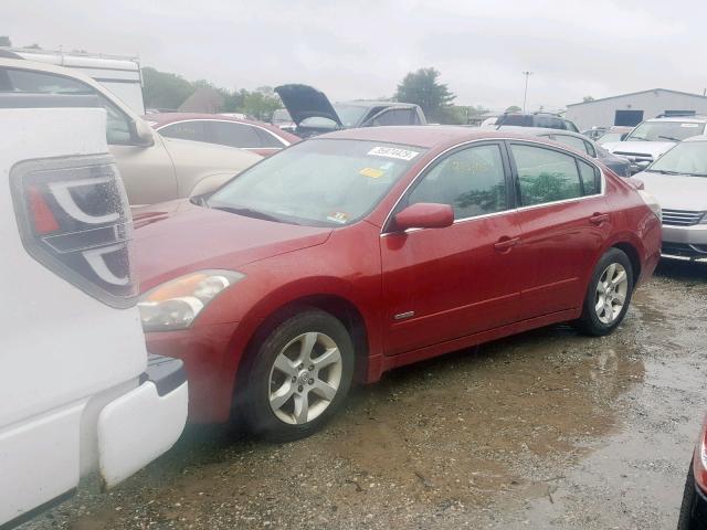 1N4CL21E17C159408 - 2007 NISSAN ALTIMA HYB BURGUNDY photo 2