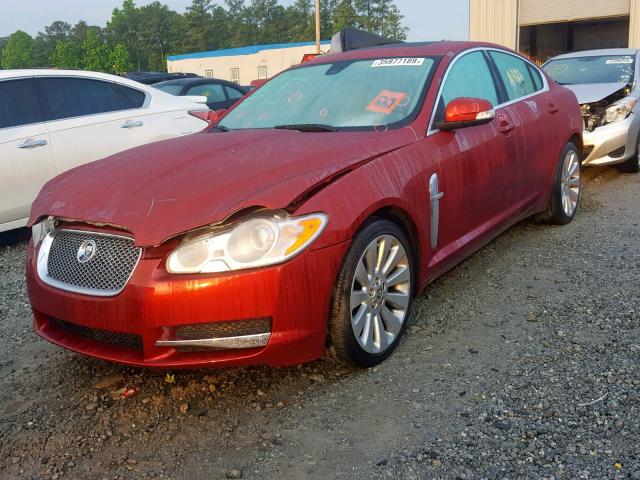 SAJWA05B69HR31149 - 2009 JAGUAR XF LUXURY RED photo 2