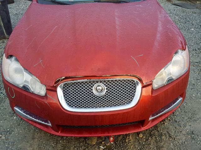 SAJWA05B69HR31149 - 2009 JAGUAR XF LUXURY RED photo 7