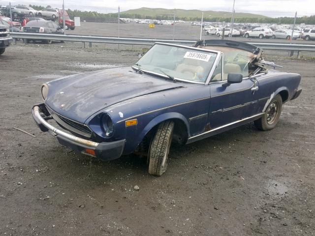 124CS20152650 - 1979 FIAT SPIDER BLUE photo 2