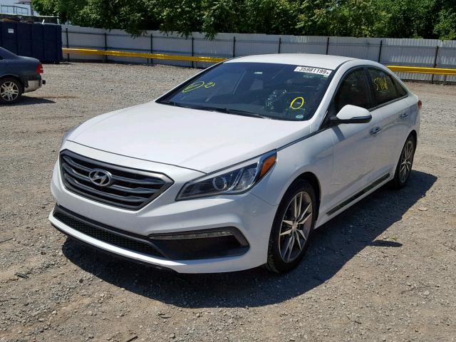 5NPE34AB5FH098698 - 2015 HYUNDAI SONATA SPO WHITE photo 2