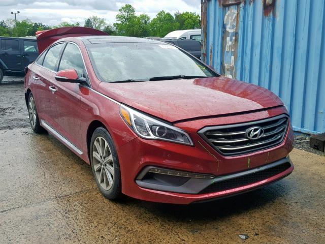 5NPE34AF7GH432363 - 2016 HYUNDAI SONATA SPO MAROON photo 1