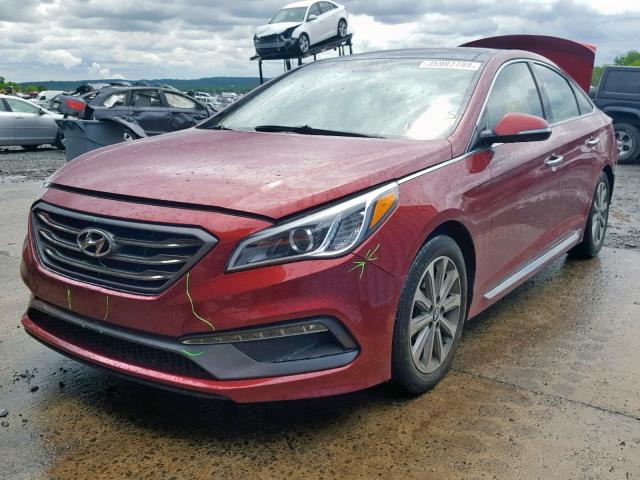 5NPE34AF7GH432363 - 2016 HYUNDAI SONATA SPO MAROON photo 2