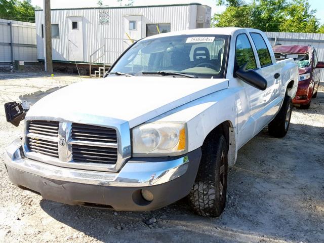 1D7HE48N25S218907 - 2005 DODGE DAKOTA QUA WHITE photo 2