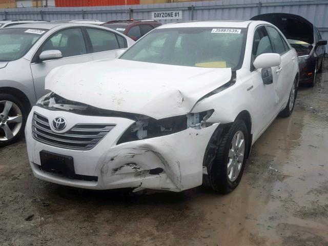 4T1BB46KX9U065216 - 2009 TOYOTA CAMRY HYBR WHITE photo 2