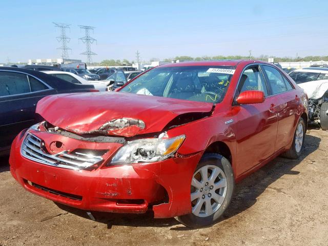 4T1BB46K68U060867 - 2008 TOYOTA CAMRY HYBR RED photo 2