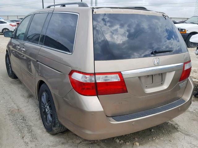 5FNRL38835B012081 - 2005 HONDA ODYSSEY TO GOLD photo 3