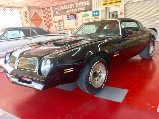 2U87Z6N607442 - 1976 PONTIAC FIREBIRD BLACK photo 2