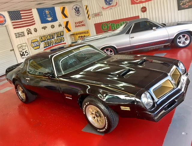 2U87Z6N607442 - 1976 PONTIAC FIREBIRD BLACK photo 9