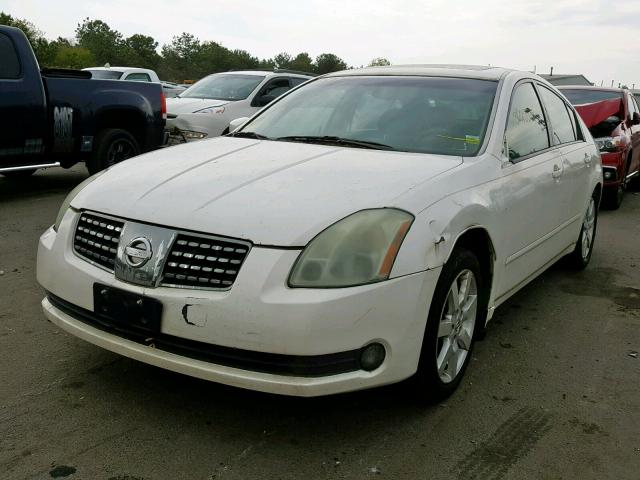 1N4BA41E14C818564 - 2004 NISSAN MAXIMA SE WHITE photo 2