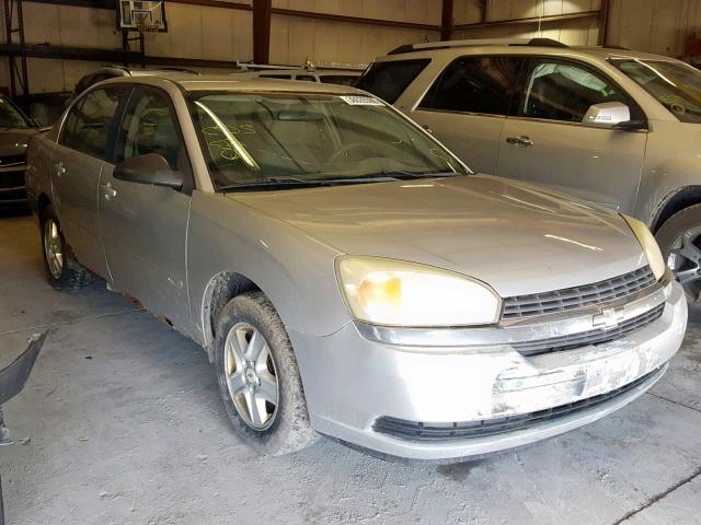 1G1ZT52815F228620 - 2005 CHEVROLET MALIBU LS SILVER photo 1