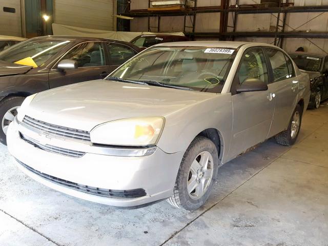 1G1ZT52815F228620 - 2005 CHEVROLET MALIBU LS SILVER photo 2