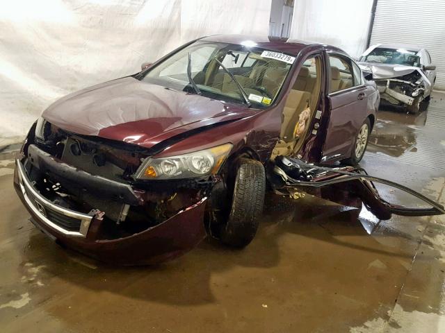 1HGCP26459A001202 - 2009 HONDA ACCORD LXP BURGUNDY photo 2