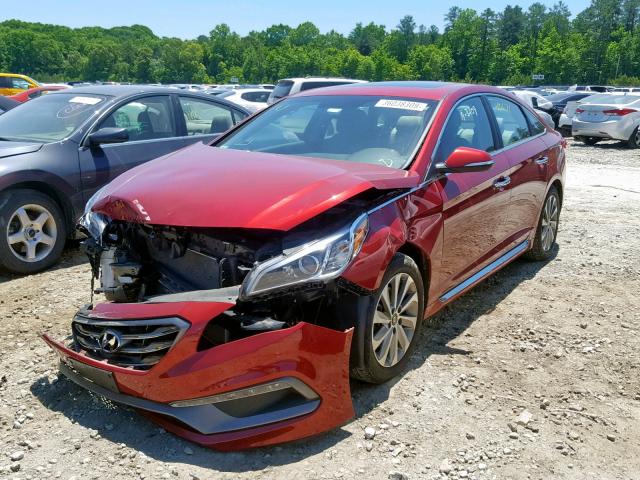 5NPE34AF2GH431993 - 2016 HYUNDAI SONATA SPO RED photo 2